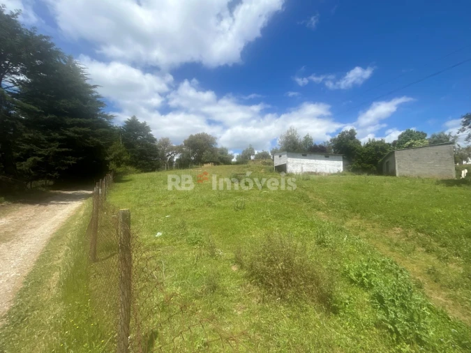Terreno Agricola ou Rústico para Venda em Ferreira do Zezere Foto 17