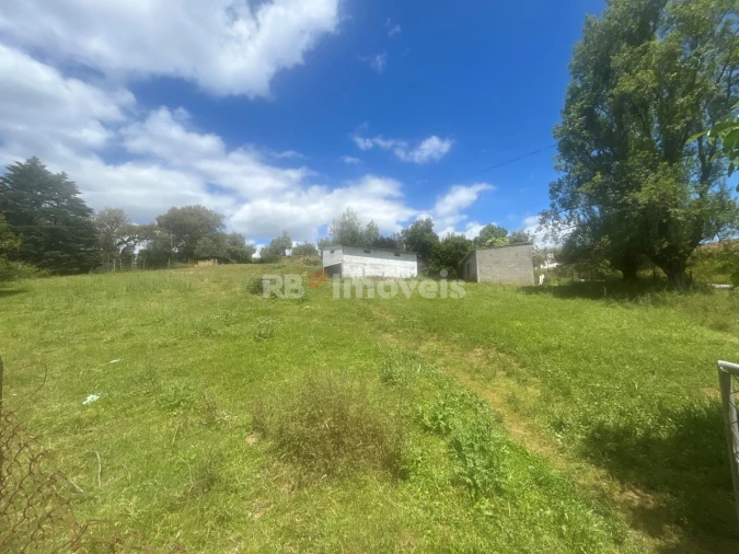 Terreno Agricola ou Rústico para Venda em Ferreira do Zezere Foto 18