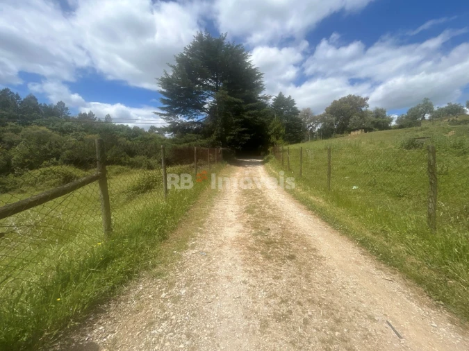 Terreno Agricola ou Rústico para Venda em Ferreira do Zezere Foto 20
