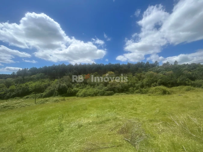 Terreno Agricola ou Rústico para Venda em Ferreira do Zezere Foto 24