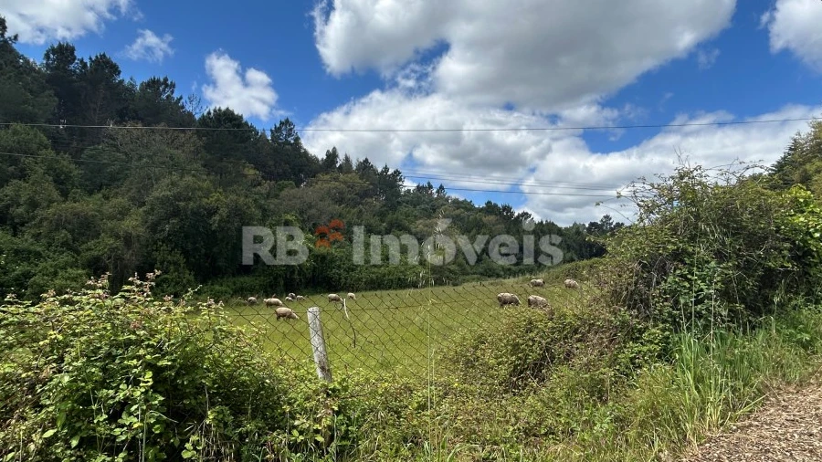 Terreno Agricola ou Rústico para Venda em Ferreira do Zezere