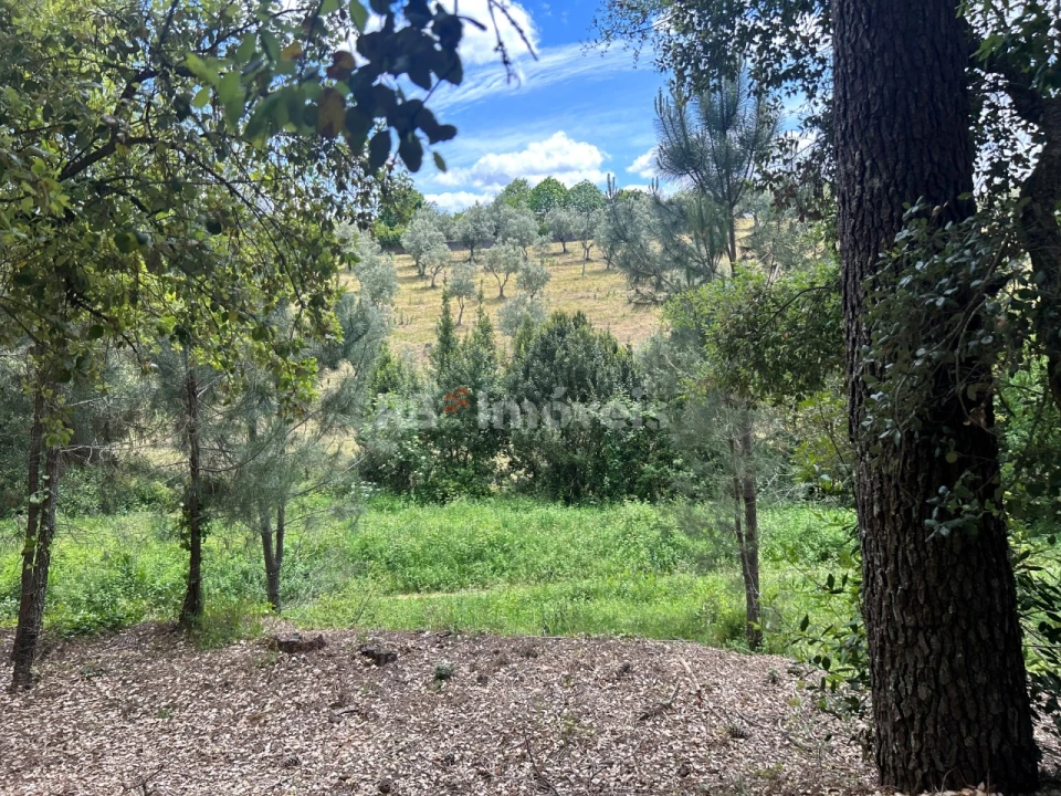 Terreno Agricola ou Rústico para Venda em Ferreira do Zezere Foto 5