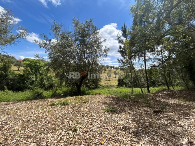 Terreno Agricola ou Rústico para Venda em Ferreira do Zezere