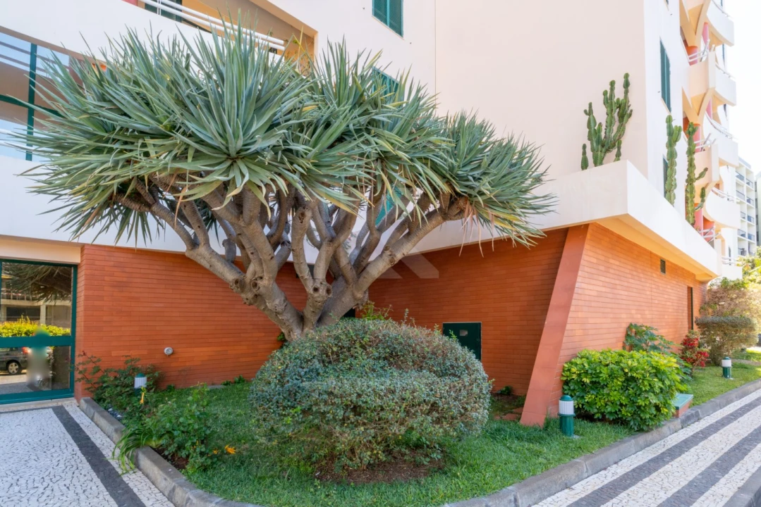 Apartamento T3 para Arrendamento em São Martinho Foto 27