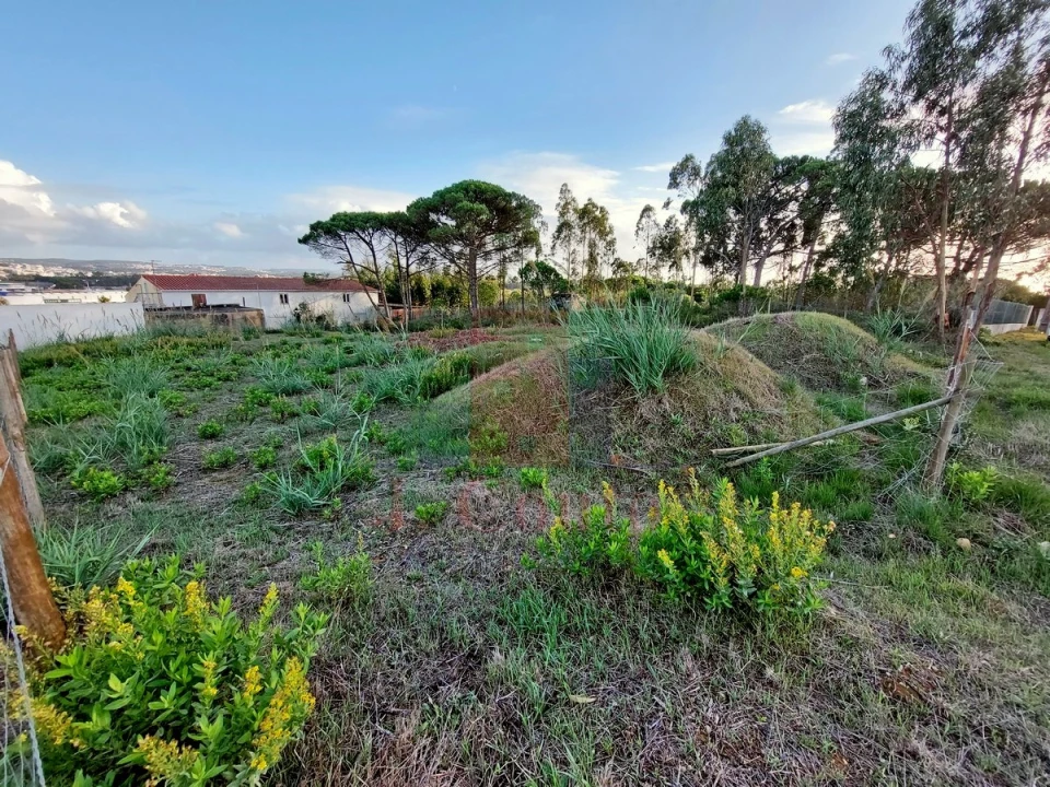 Terreno para Venda em Nadadouro Foto 5
