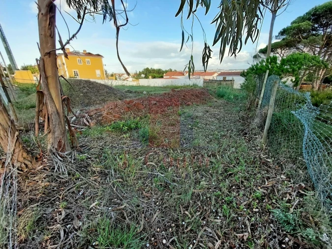 Terreno para Venda em Nadadouro Foto 4