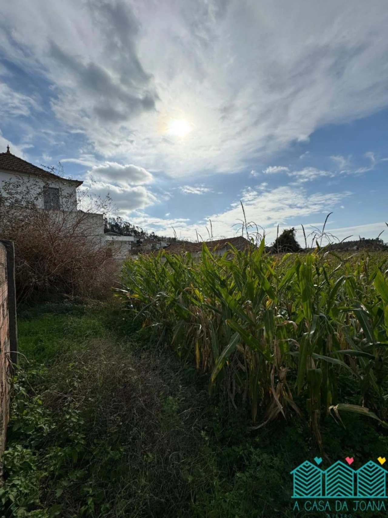 Terreno para Venda em Branca Foto 4