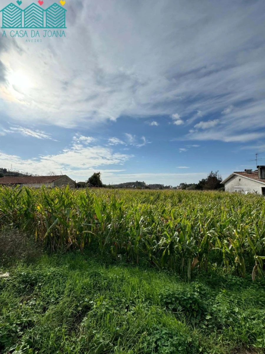 Terreno para Venda em Branca Foto 5