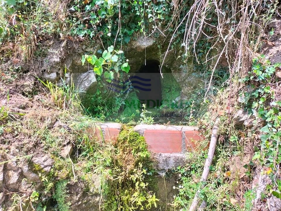 Quinta para Venda em Couto de Esteves Foto 13