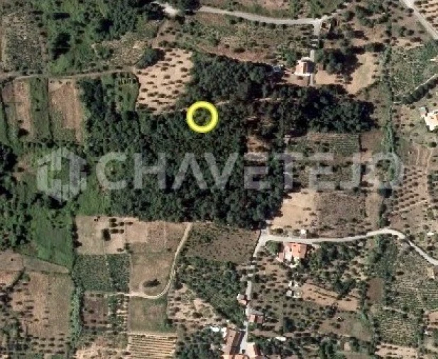 Terreno Agricola ou Rústico para Venda em Igreja Nova do Sobral