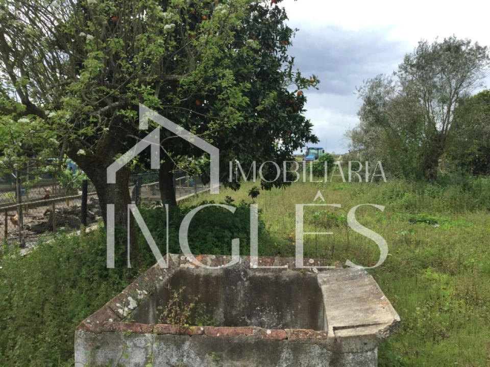 Moradia T2 para Venda em Pombalinho Foto 2