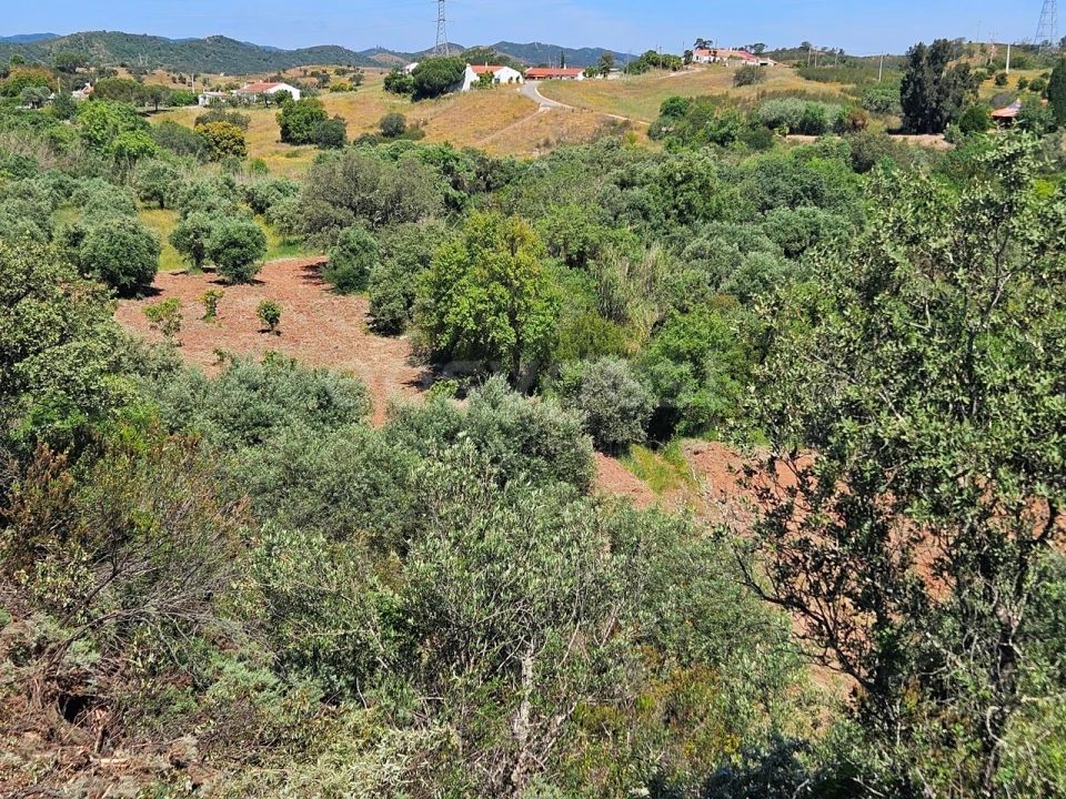 Terreno Agricola ou Rústico para Venda em São Bartolomeu de Messines Foto 3