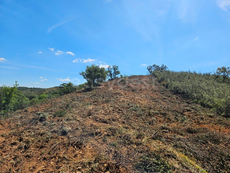 Terreno Agricola ou Rústico para Venda em São Bartolomeu de Messines Foto 4