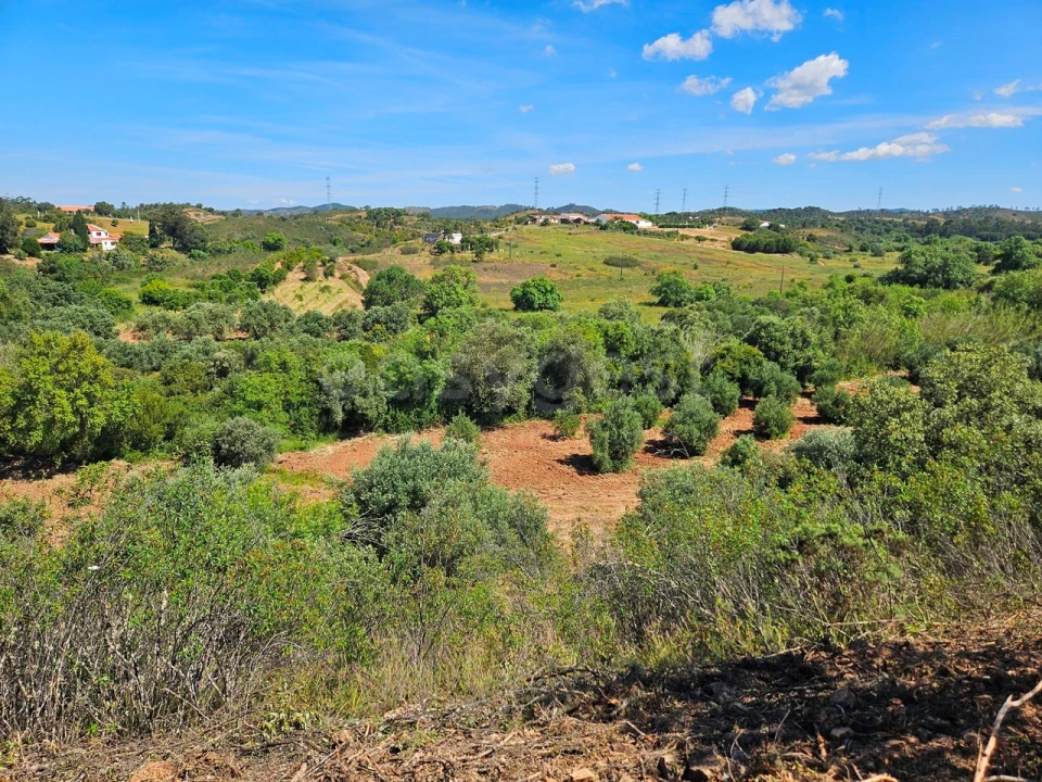 Terreno Agricola ou Rústico para Venda em São Bartolomeu de Messines Foto 5