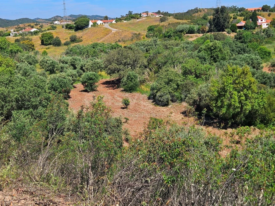 Terreno Agricola ou Rústico para Venda em São Bartolomeu de Messines Foto 7
