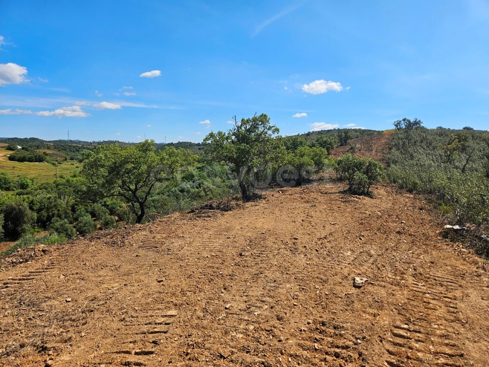 Terreno Agricola ou Rústico para Venda em São Bartolomeu de Messines Foto 8