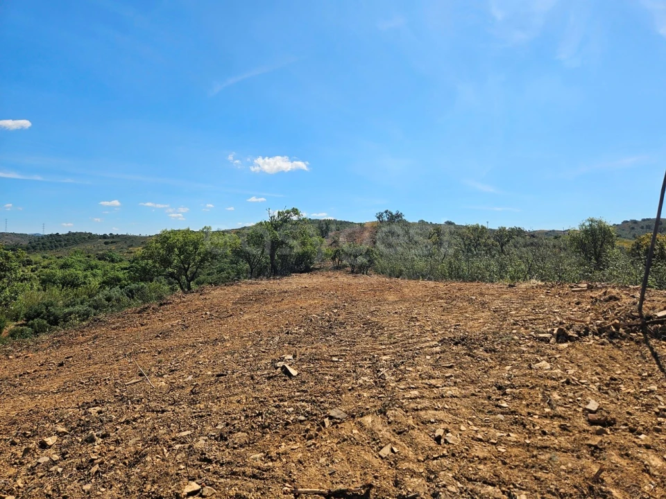 Terreno Agricola ou Rústico para Venda em São Bartolomeu de Messines Foto 10