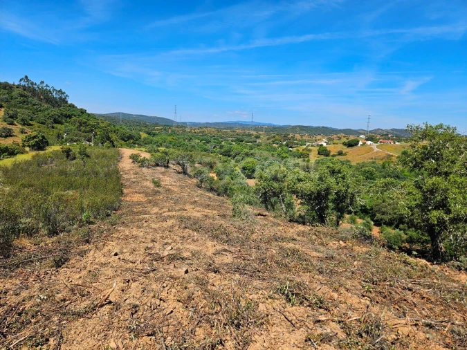 Terreno Agricola ou Rústico para Venda em São Bartolomeu de Messines Foto 1