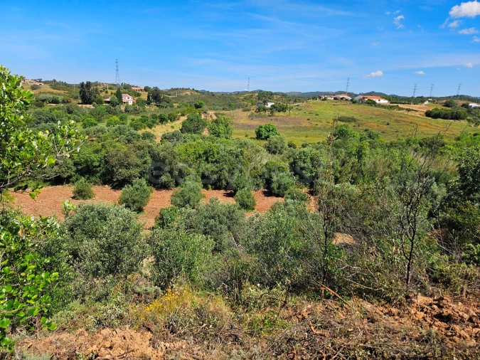 Terreno Agricola ou Rústico para Venda em São Bartolomeu de Messines Foto 2