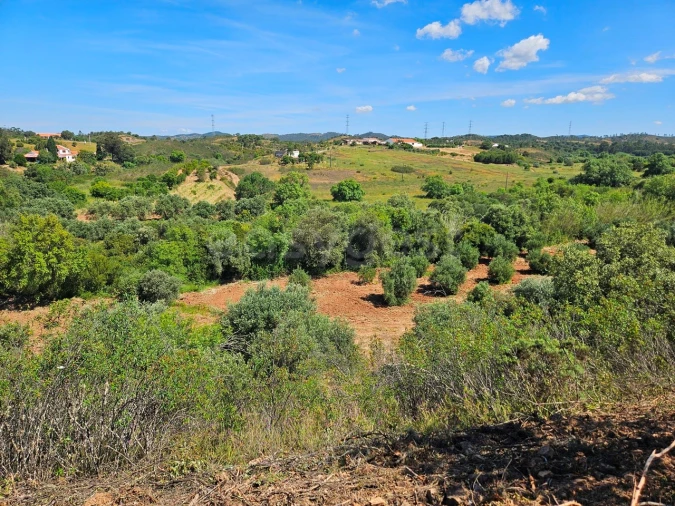 Terreno Agricola ou Rústico para Venda em São Bartolomeu de Messines Foto 5