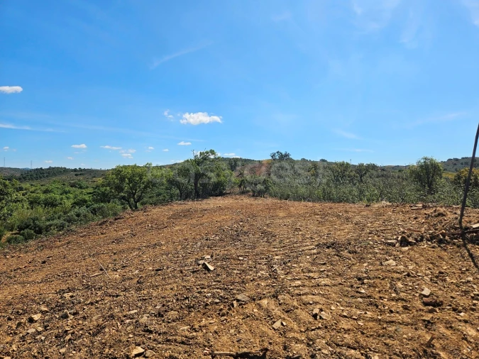 Terreno Agricola ou Rústico para Venda em São Bartolomeu de Messines Foto 10