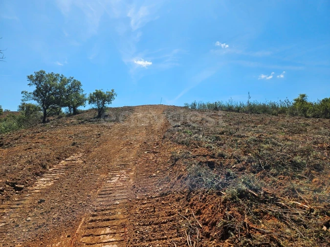 Terreno Agricola ou Rústico para Venda em São Bartolomeu de Messines Foto 12