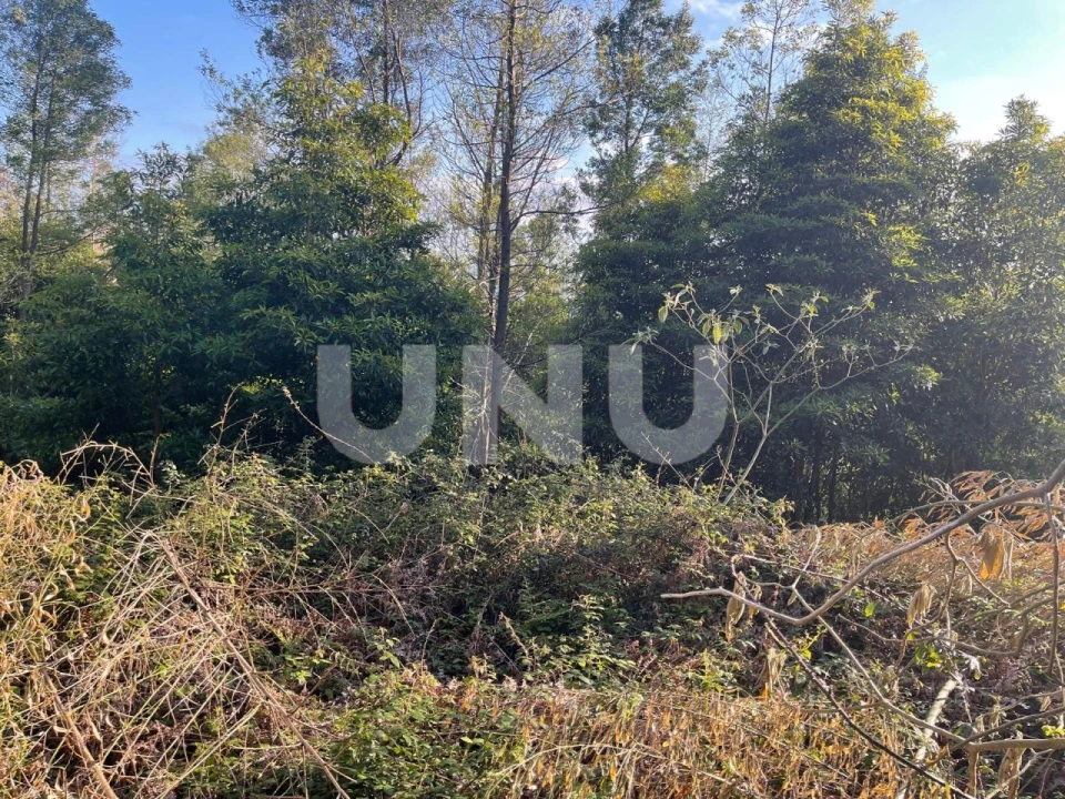 Terreno Agricola ou Rústico para Venda em Agua de Pau Foto 2