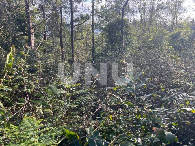 Terreno Agricola ou Rústico para Venda em Agua de Pau Foto 3