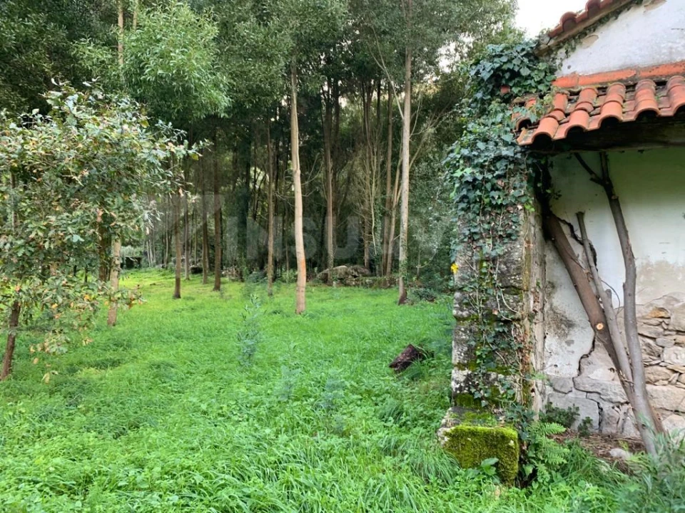 Terreno para Venda em Caminha (Matriz) e Vilarelho Foto 3
