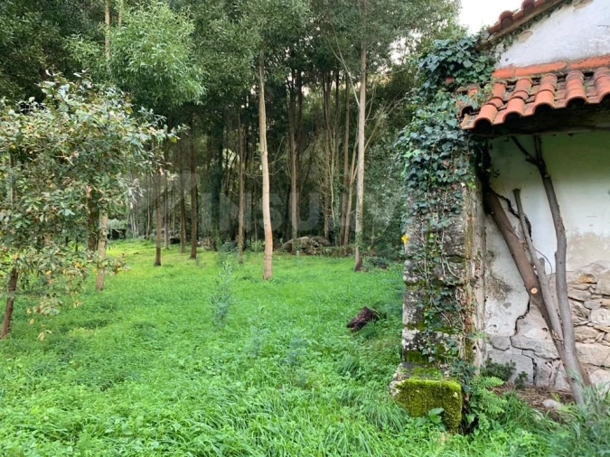 Terreno para Venda em Caminha (Matriz) e Vilarelho Foto 3