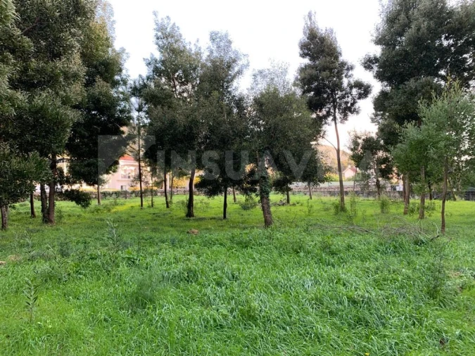 Terreno para Venda em Caminha (Matriz) e Vilarelho Foto 6