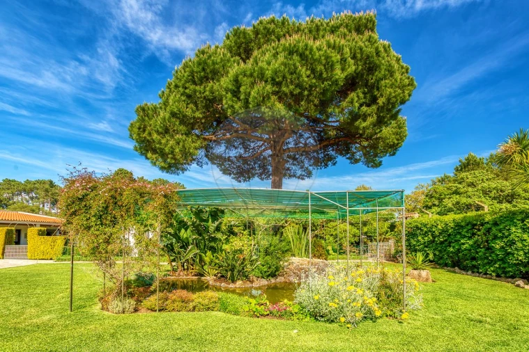 Moradia T4 para Venda em Sesimbra (Castelo) Foto 50