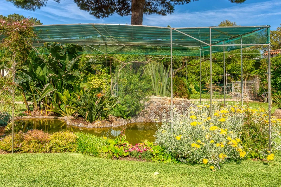 Moradia T4 para Venda em Sesimbra (Castelo) Foto 32