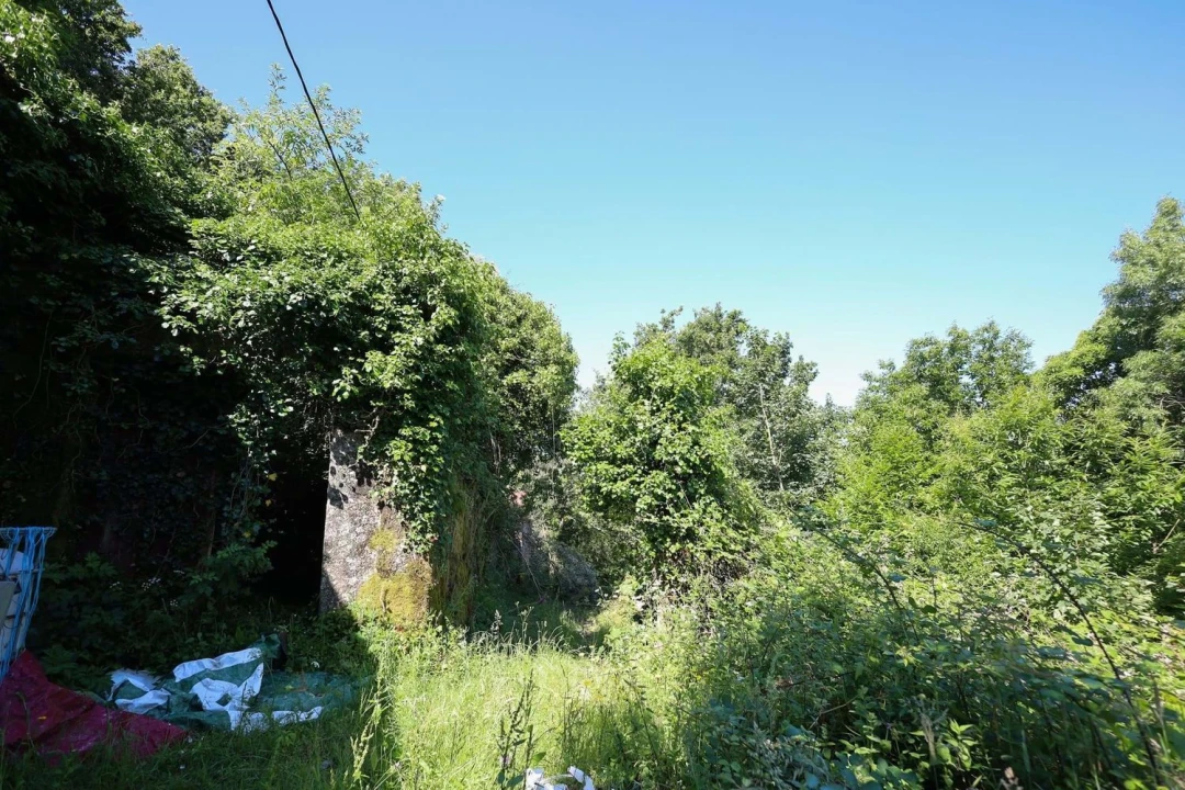 Terreno Agricola ou Rústico para Venda em Caniçada e Soengas Foto 12