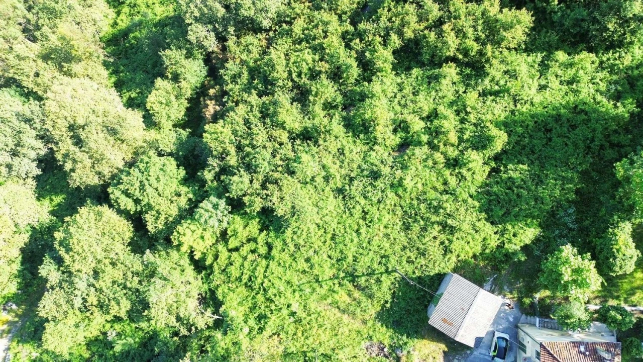 Terreno Agricola ou Rústico para Venda em Caniçada e Soengas Foto 2