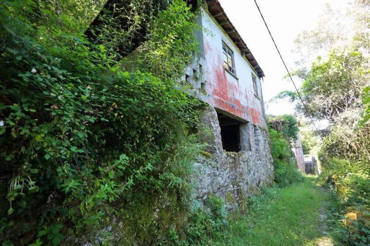 Terreno Agricola ou Rústico para Venda em Caniçada e Soengas Foto 4