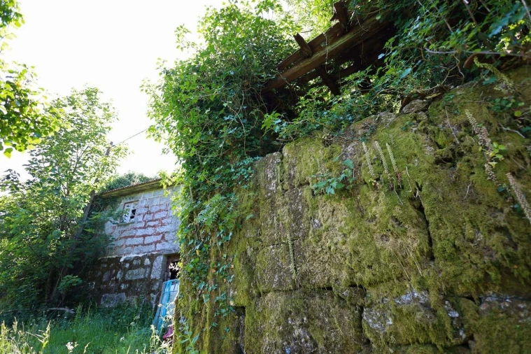 Terreno Agricola ou Rústico para Venda em Caniçada e Soengas Foto 5