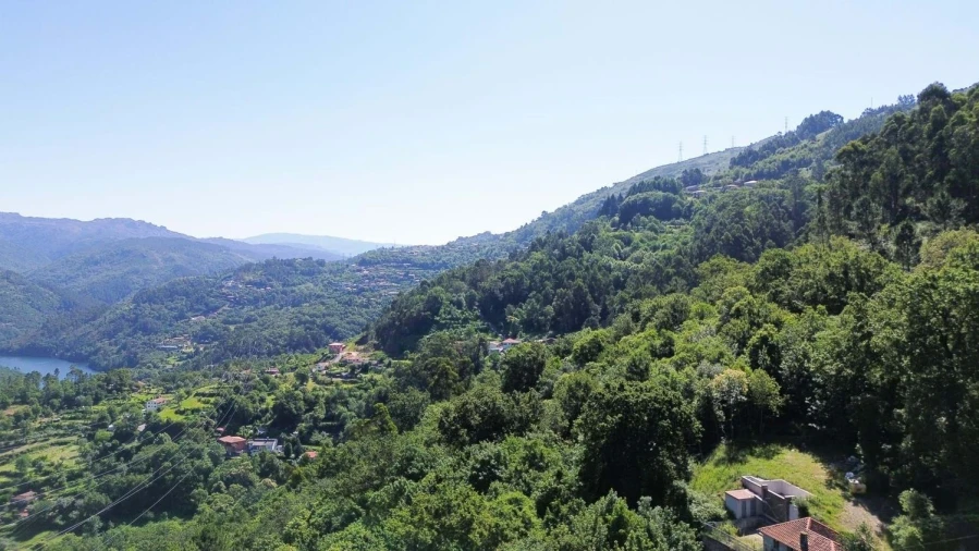 Terreno Agricola ou Rústico para Venda em Caniçada e Soengas Foto 6