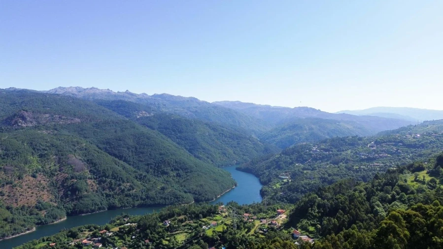Terreno Agricola ou Rústico para Venda em Caniçada e Soengas Foto 7