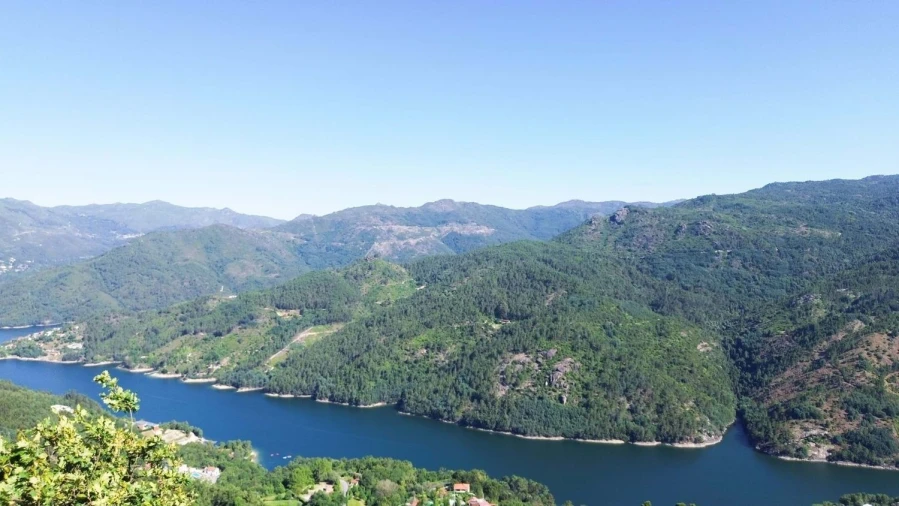 Terreno Agricola ou Rústico para Venda em Caniçada e Soengas Foto 8