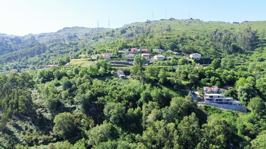 Terreno Agricola ou Rústico para Venda em Caniçada e Soengas Foto 9