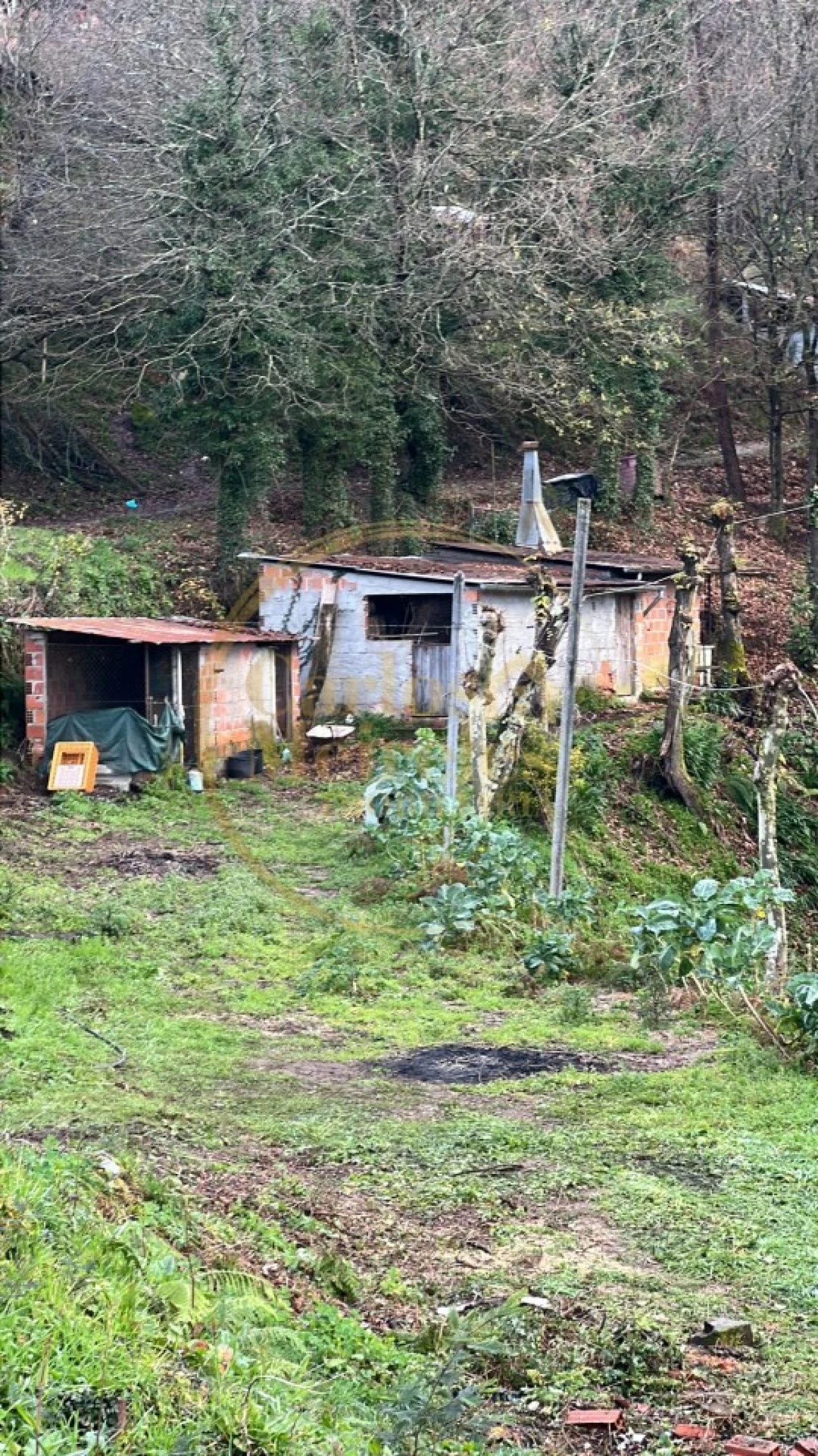 Terreno para Venda em Campo do Geres Foto 18