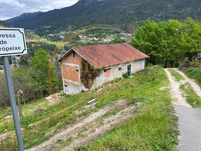 Terreno para Venda em Campo do Geres Foto 6