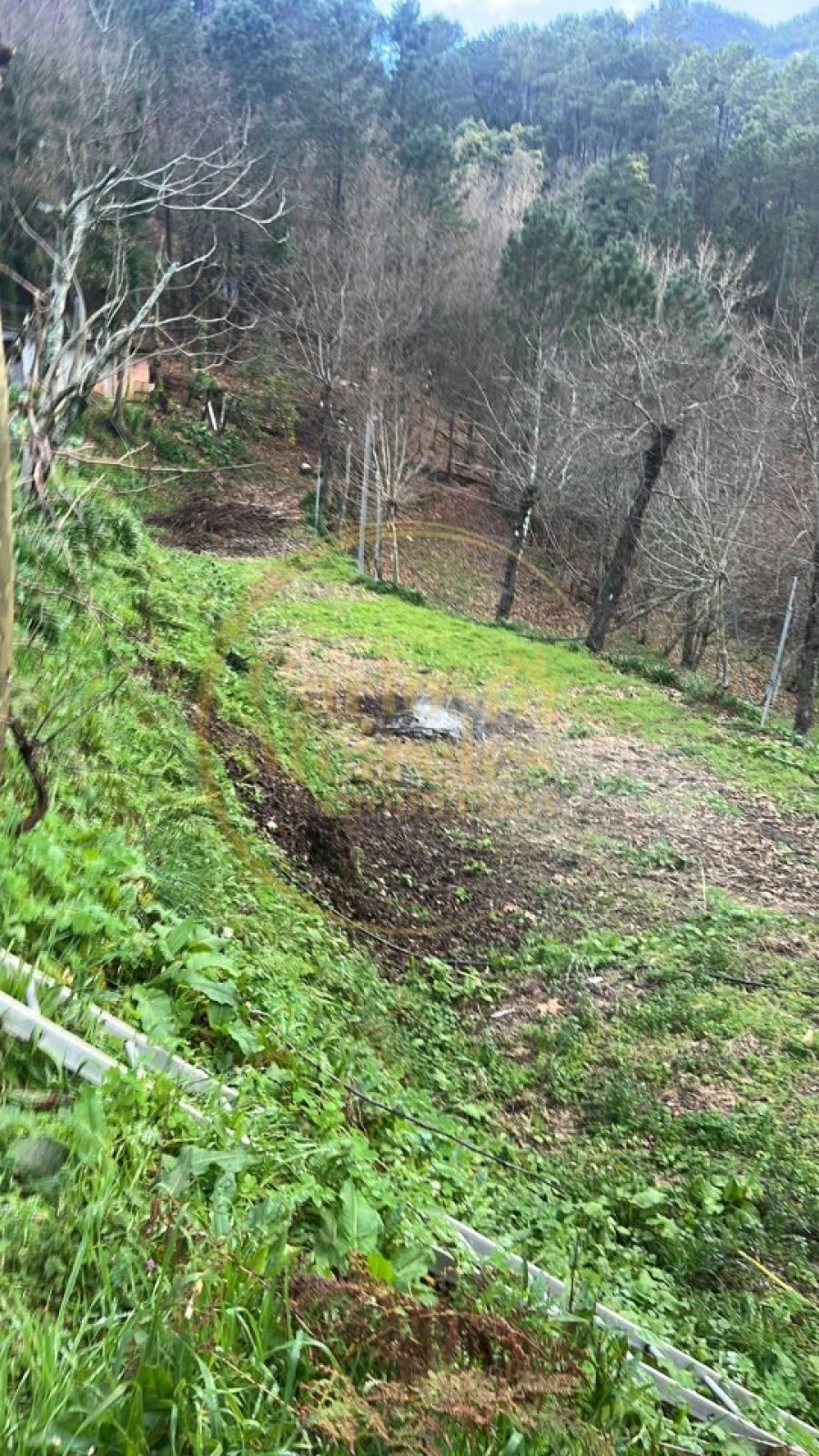 Terreno para Venda em Campo do Geres Foto 15