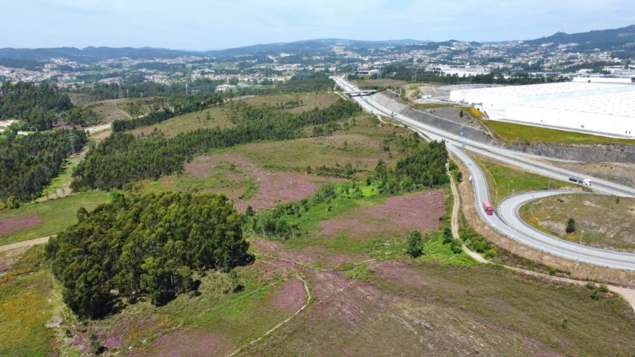 Terreno para Venda em Campo e Sobrado Foto 1