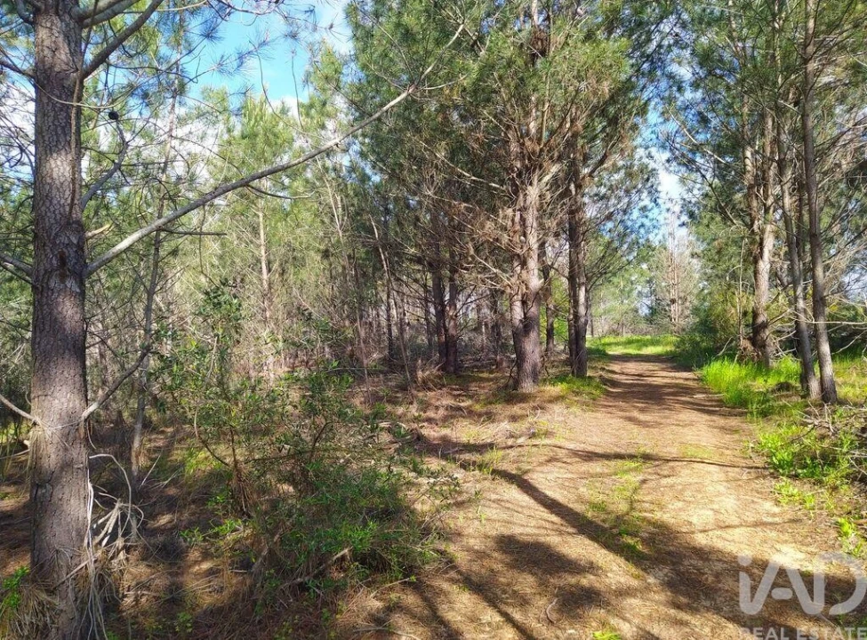 Terreno para Venda em Rogil Foto 17