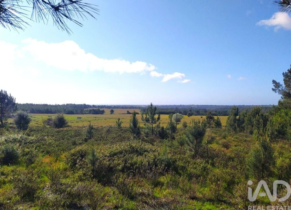 Terreno para Venda em Rogil Foto 21
