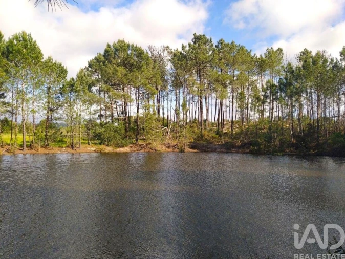 Terreno para Venda em Rogil Foto 27