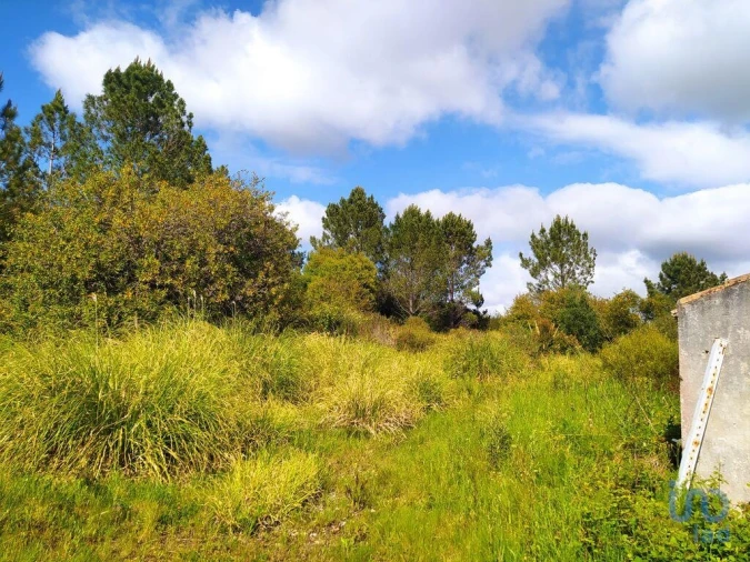 Terreno para Venda em Rogil Foto 12