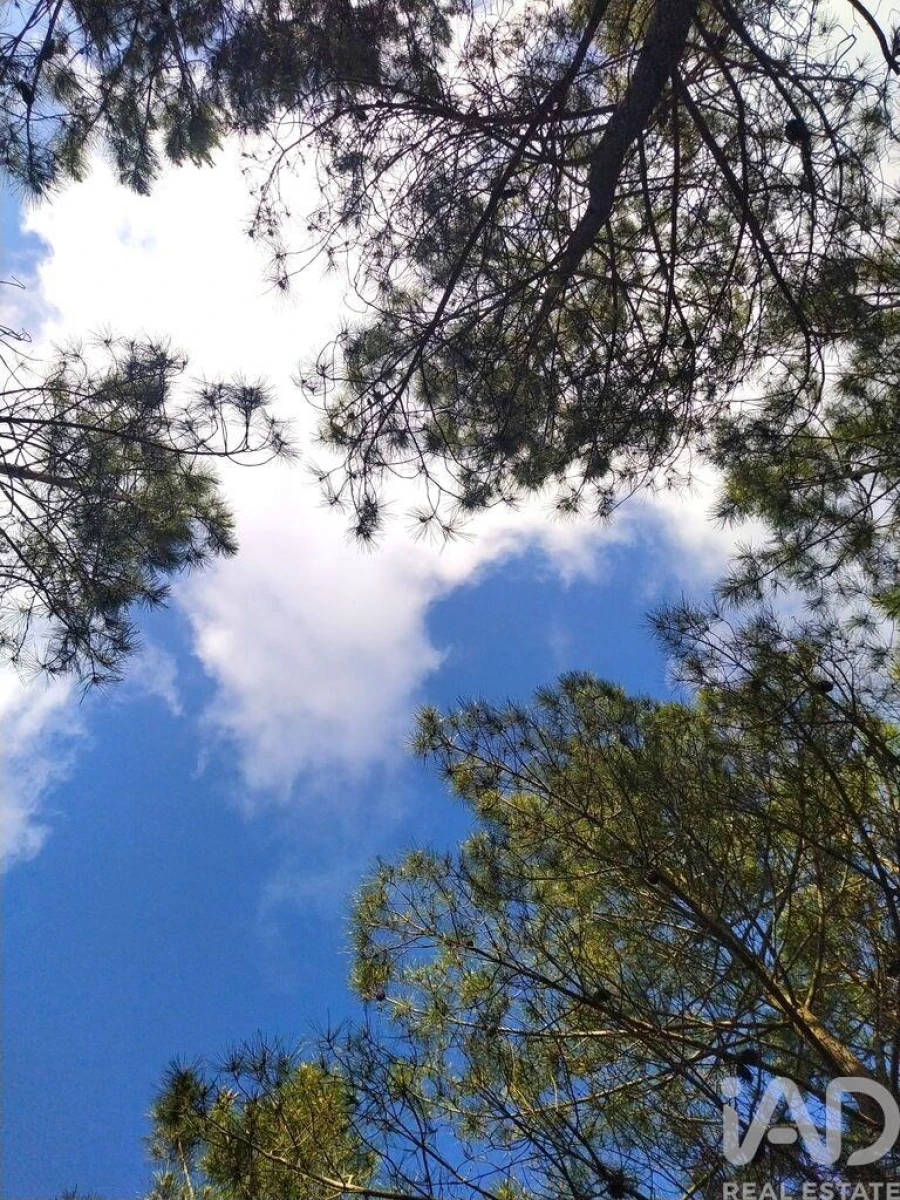 Terreno para Venda em Rogil Foto 25